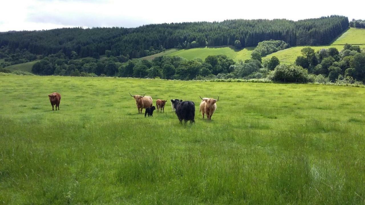 Bed and Breakfast Loch Ness B And B Inverness Exterior foto